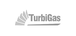 Turbigas